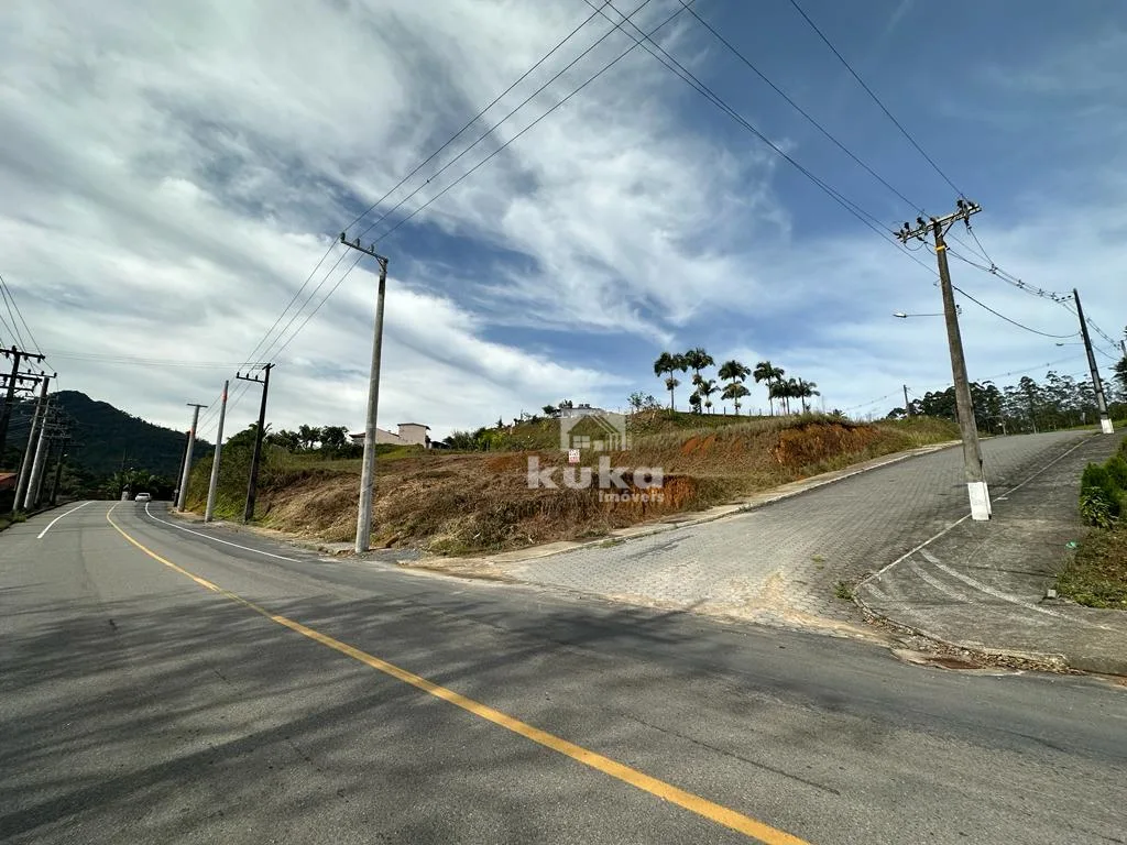 TERRENO INDUSTRIAL