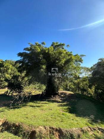 CHÁCARA SEM CASA — foto 13