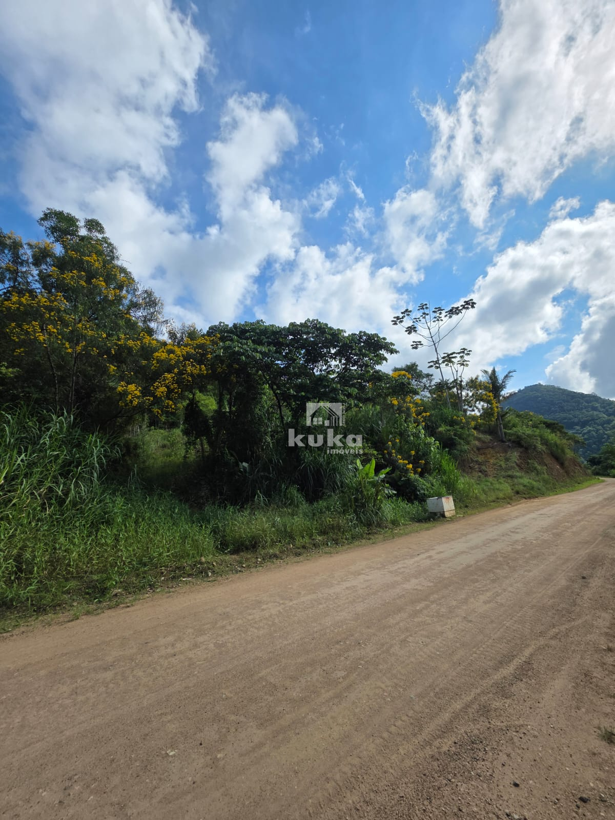 CHÁCARA À VENDA - GARIBALDI — foto 4