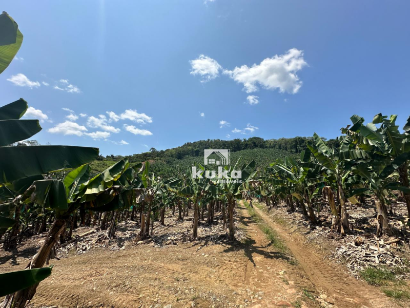 TERRENO À VENDA — foto 5