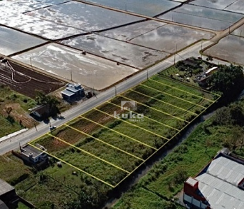TERRENOS À VENDA — foto 5
