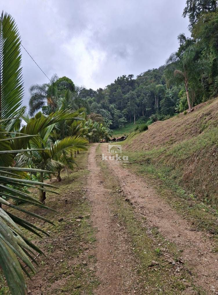 CHÁCARA COM CASA E PASTAGEM À VENDA — foto 18