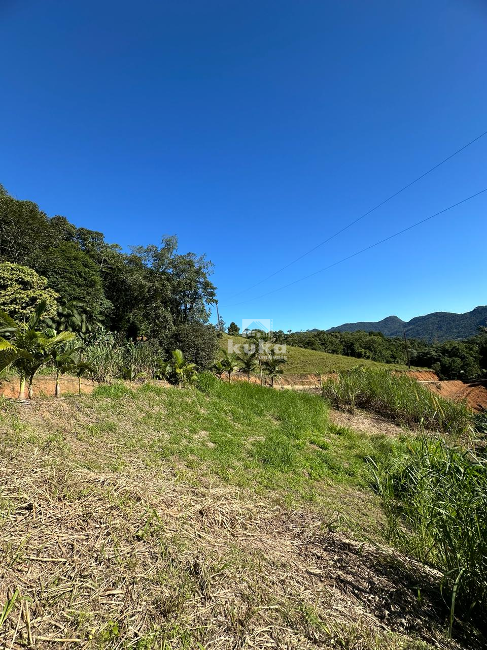 CHÁCARA SEM CASA — foto 15