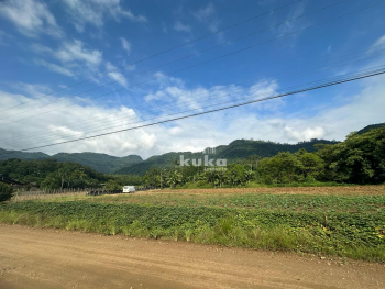 ÁREA INDUSTRIAL — foto 3