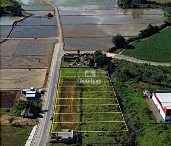 TERRENOS À VENDA — foto 6