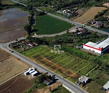 TERRENOS À VENDA — foto 4