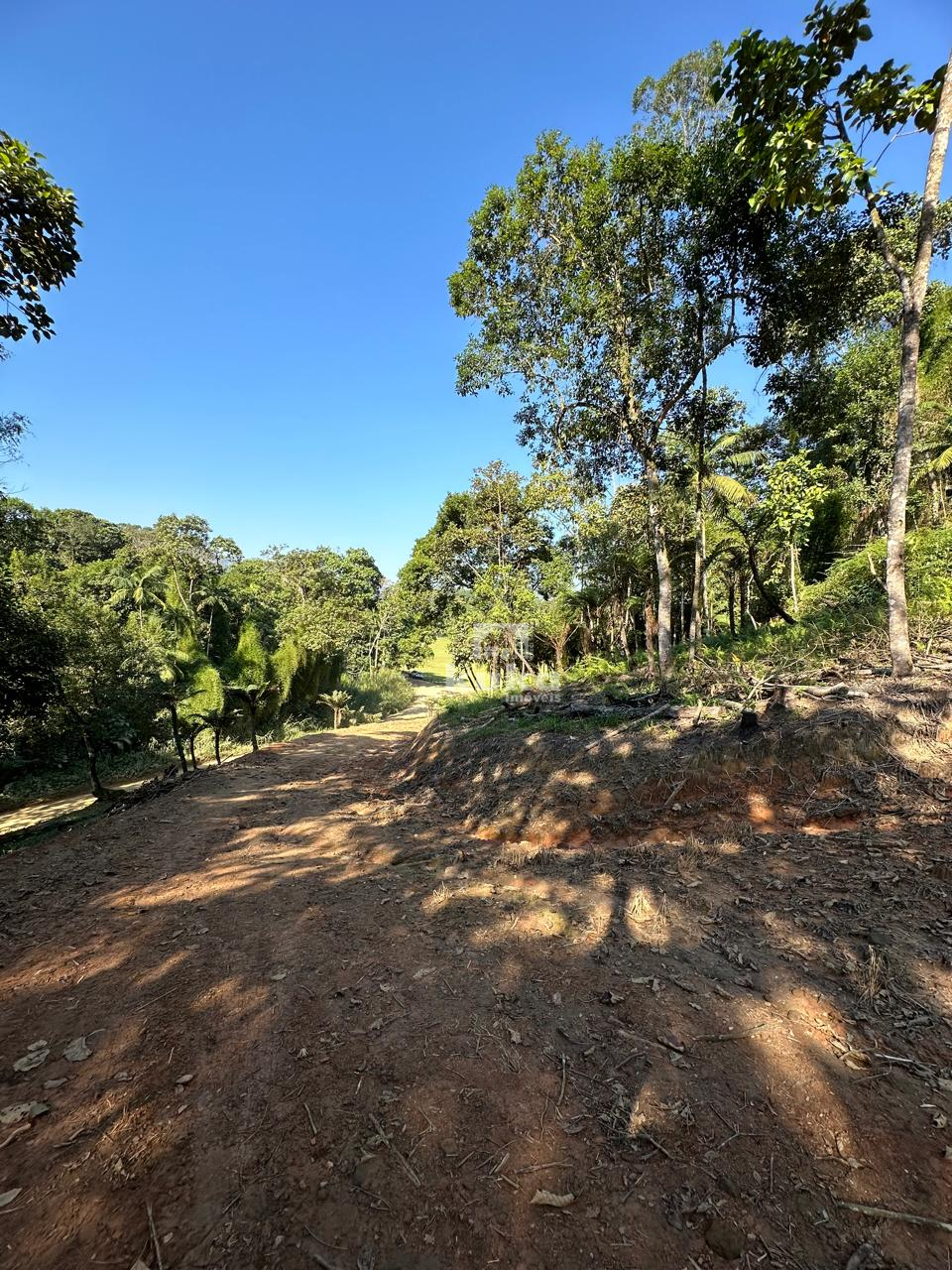 CHACARA À VENDA — foto 3