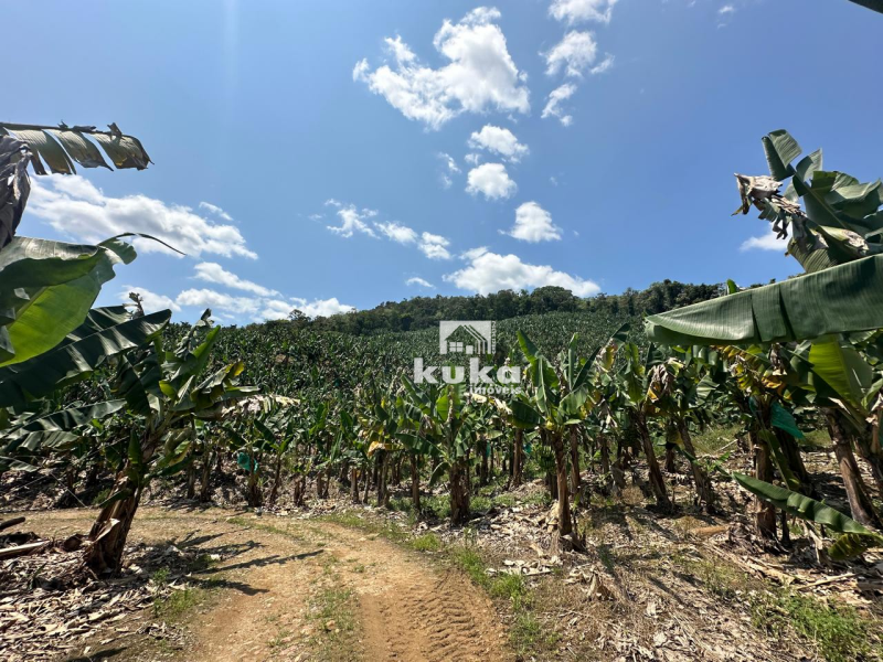TERRENO À VENDA — foto 2
