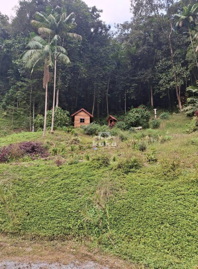 CHÁCARA COM CASA E PASTAGEM À VENDA — foto 13