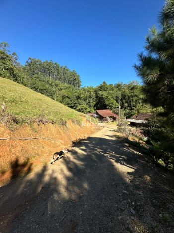 CHÁCARA SEM CASA — foto 6