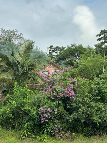 CHÁCARA COM CASA — foto 2