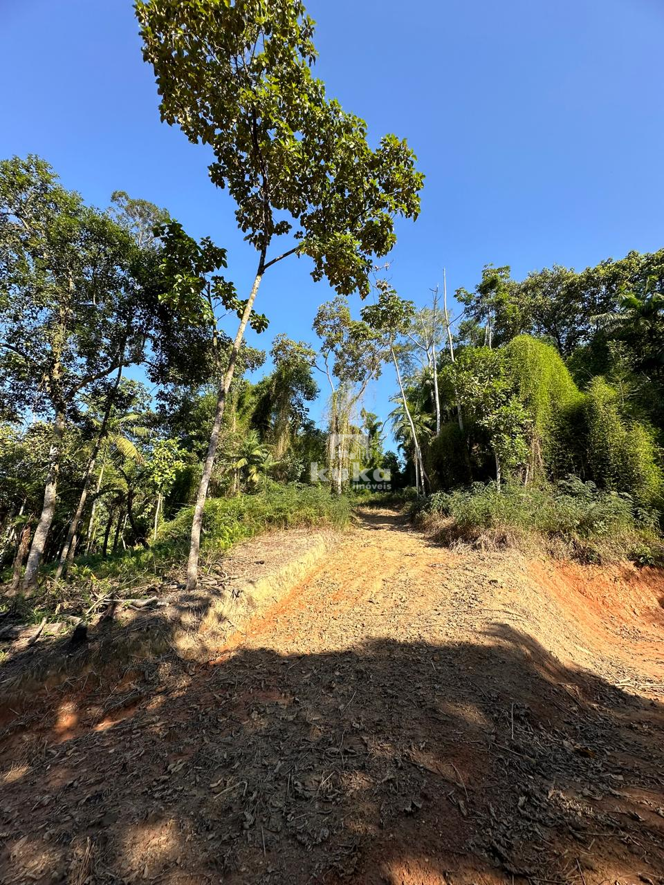 CHACARA À VENDA — foto 4