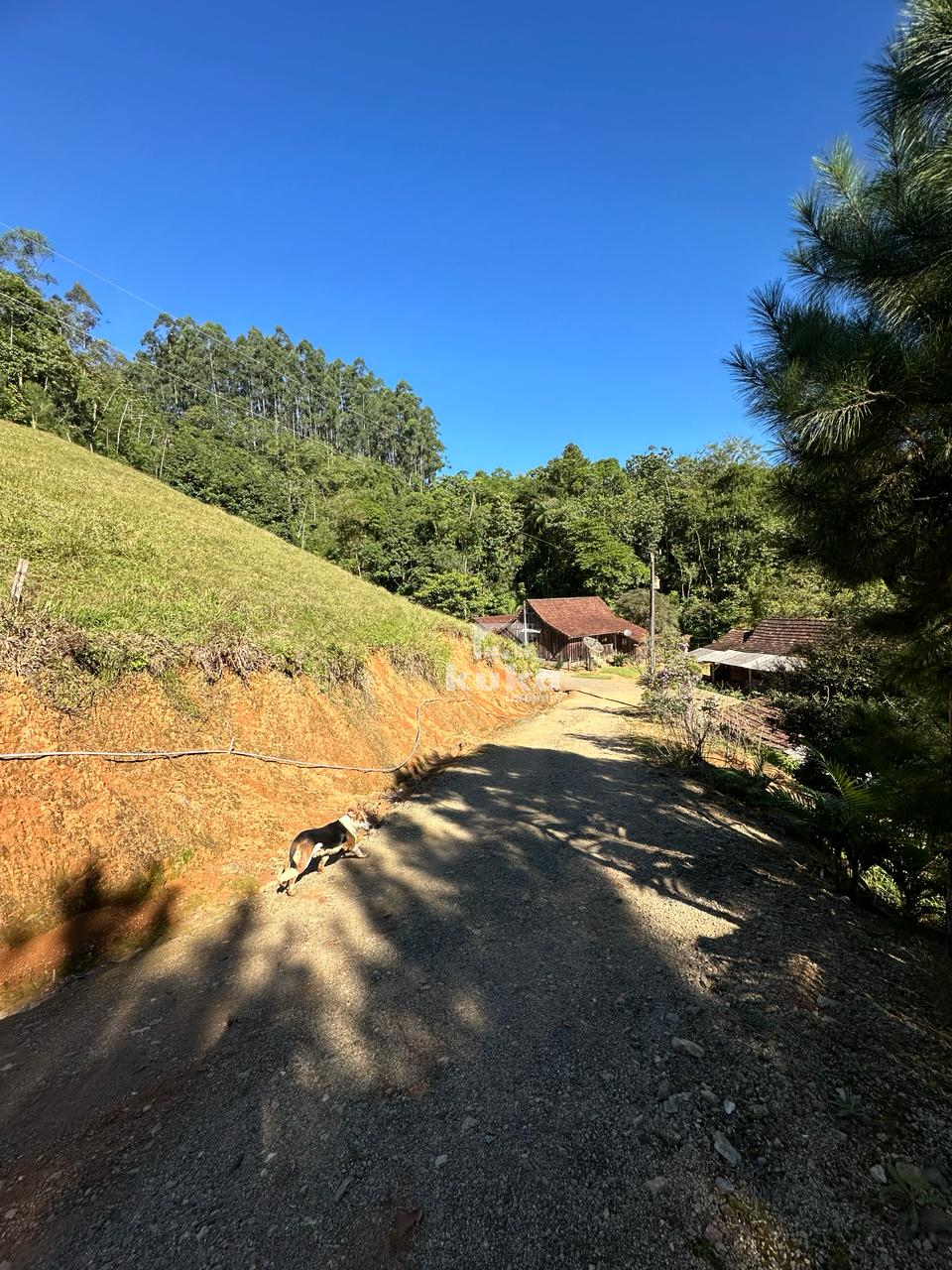 CHÁCARA SEM CASA — foto 6