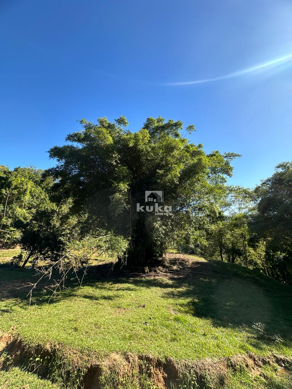 CHÁCARA SEM CASA — foto 13