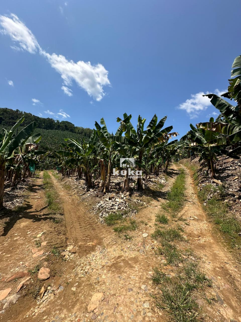 TERRENO À VENDA — foto 4